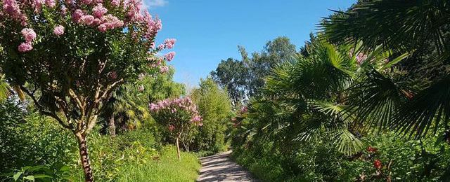 Parc Floral de la Court d'Aron