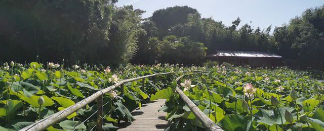 Parc Floral de la Court d'Aron