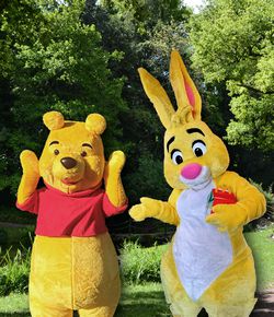 lapin et Winnie