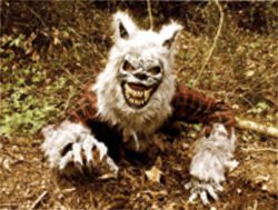 Monstre d