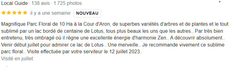 avis Google de juillet 2023